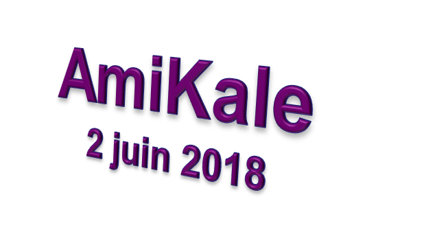 AmiKale Genevoise de Karaté à Cologny